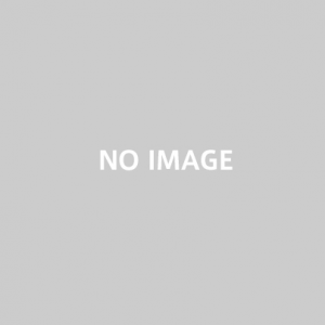 3 inch SD Series 3 inch SD Series